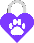 custom_website